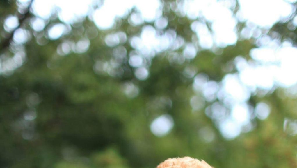 ddhpoodletoyizmir.com3