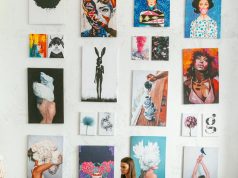 2 Gövdeli Yuka Bitkisi XL, Dracena Marginata Bitkisi ve Kauçuk Bitkisi Ficus Elastica Robusta: İç Mekanlarda Göz Alıcı Bitkiler nadirkaktus.com5