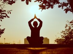 Organik Tarım, Sürdürülebilir Yaşam, Meditasyon İnzivası ve Ekolojik Çiftlik Konaklaması Hakkında Genel Bilgiler farmchusaq3